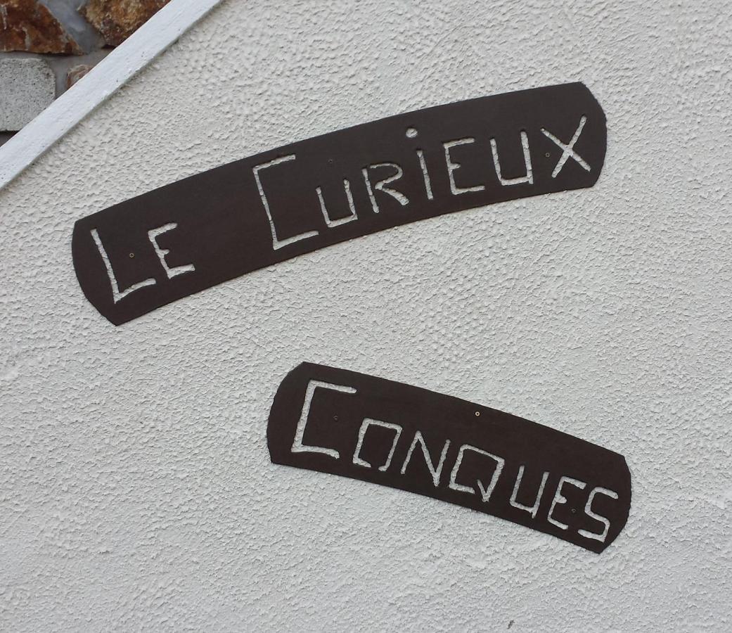 Bed and Breakfast Le Curieux De Conques Saint-Cyprien-sur-Dourdou Zewnętrze zdjęcie